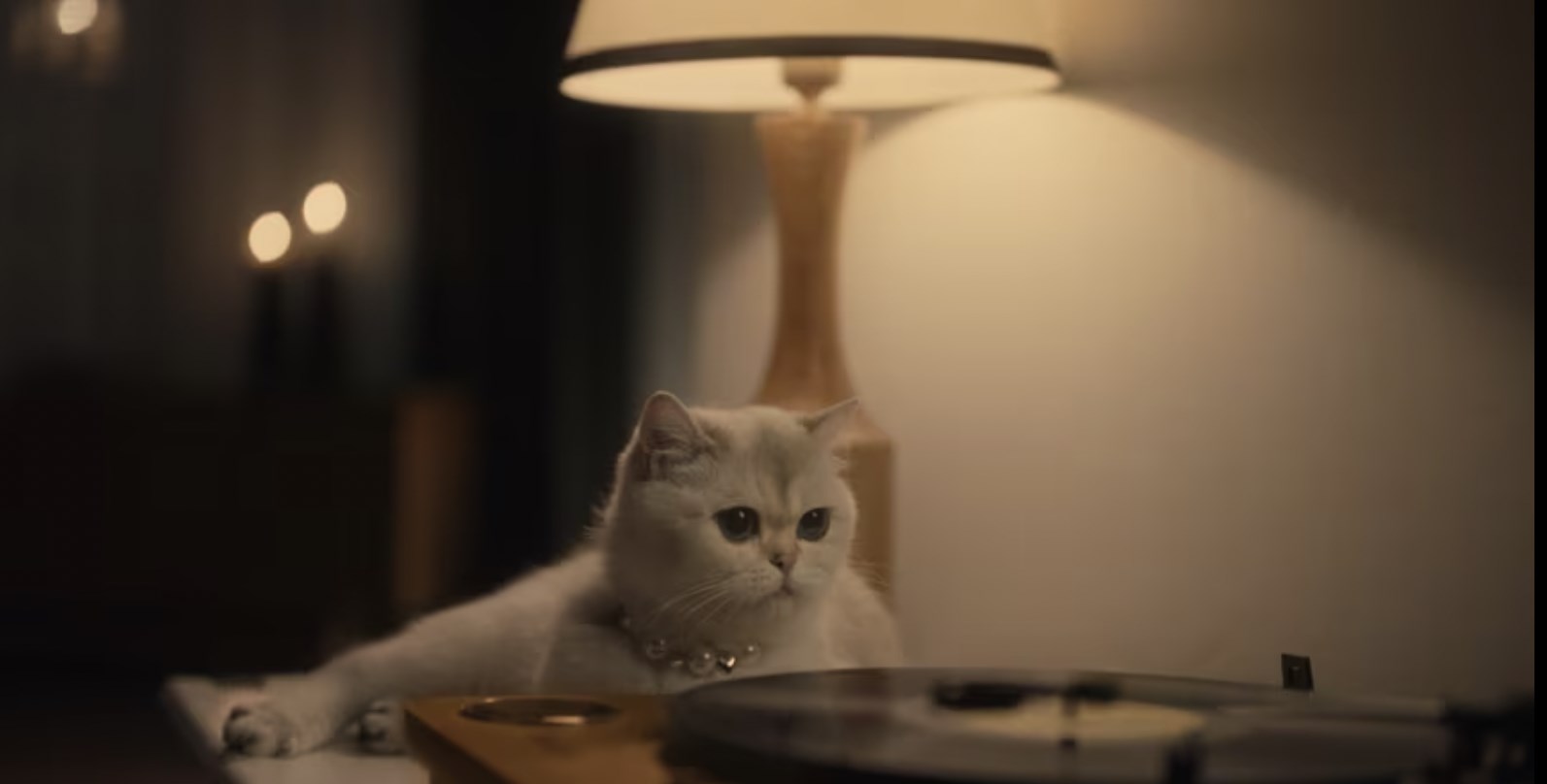 Film Ekimi