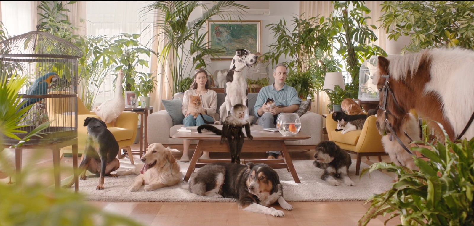 Fulltrip - Hayvanat Bahçesi